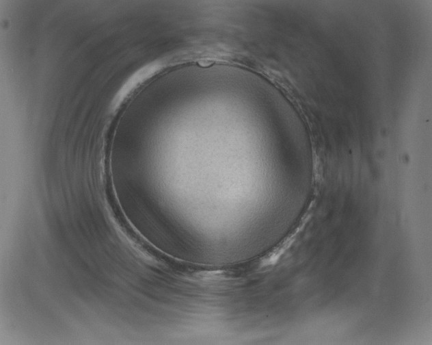 X0000081400054200702020331