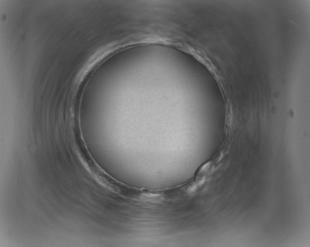 X0000081400055200702020331