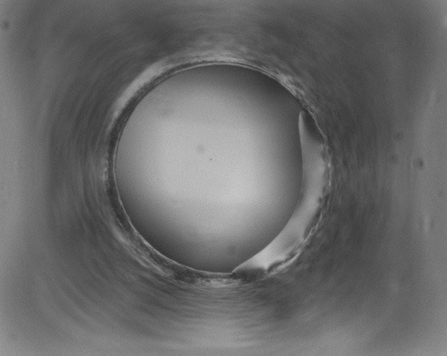 X0000081400056200702020331