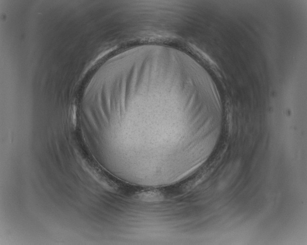 X0000081400067200702020331