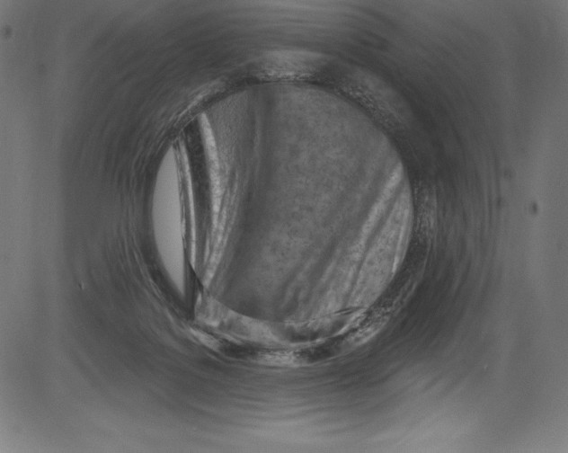 X0000081400076200702020331