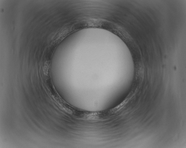 X0000081400078200702020331