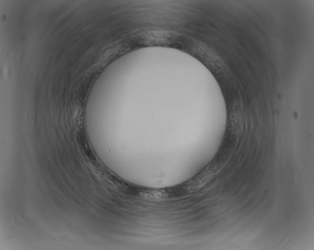 X0000081400079200702020331