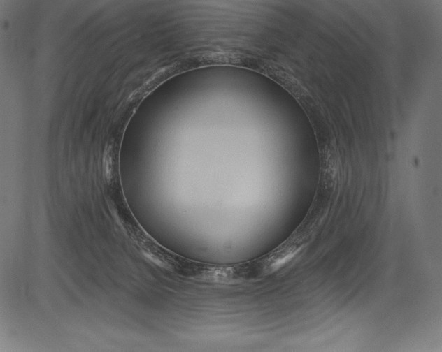 X0000081400080200702020331