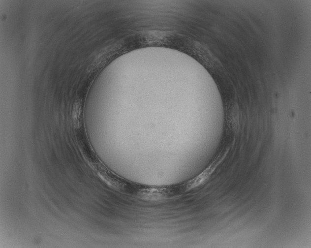 X0000081400082200702020331
