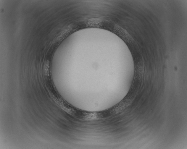X0000081400083200702020331