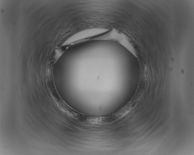 X0000081400084200702020331