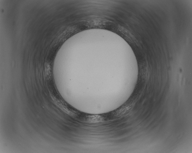 X0000081400087200702020331