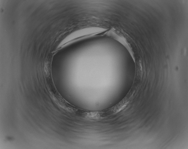 X0000081400088200702020331
