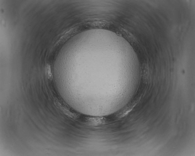 X0000081400089200702020331