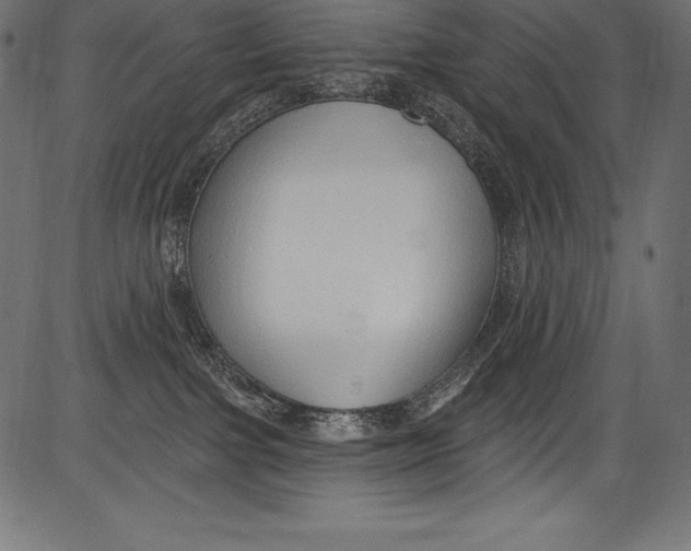 X0000081400091200702020331