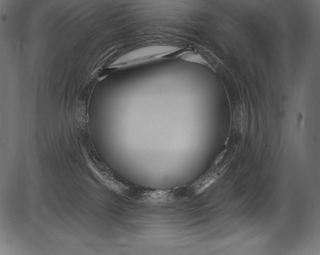 X0000081400092200702020331