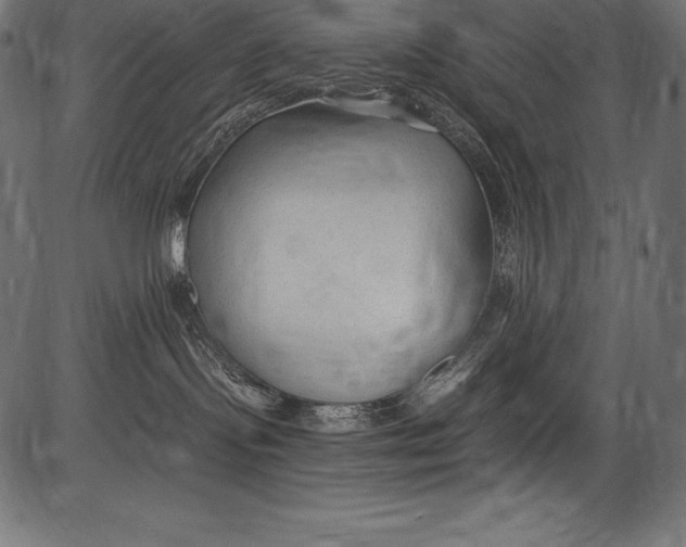X0000081400095200702020331