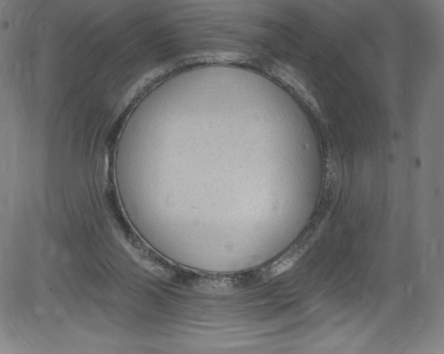 X0000081400110200702020330