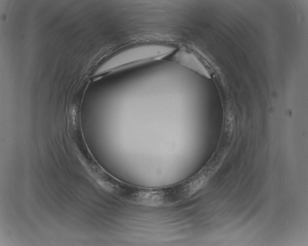 X0000081400117200702020330