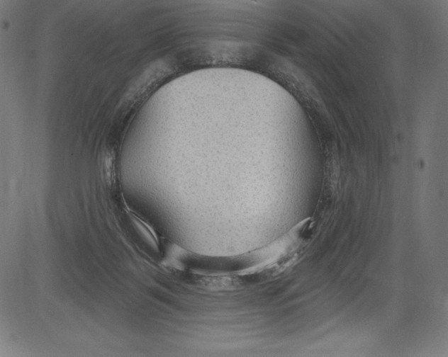 X0000081400123200702020330