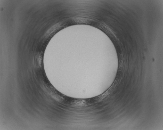 X0000081400124200702020330