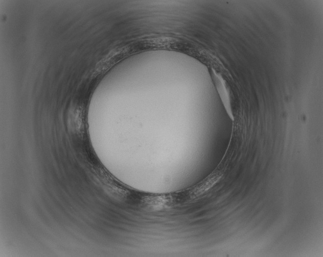 X0000081400131200702020330