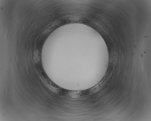 X0000081400136200702020330