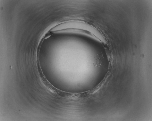 X0000081400148200702020329