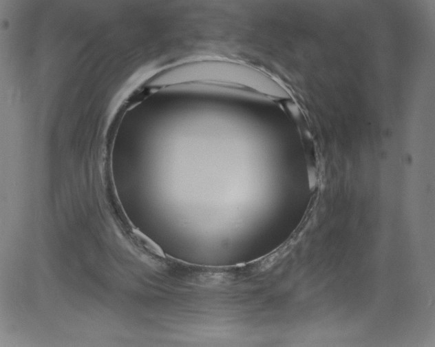 X0000081400152200702020329