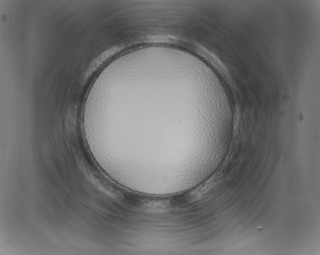 X0000081400155200702020329