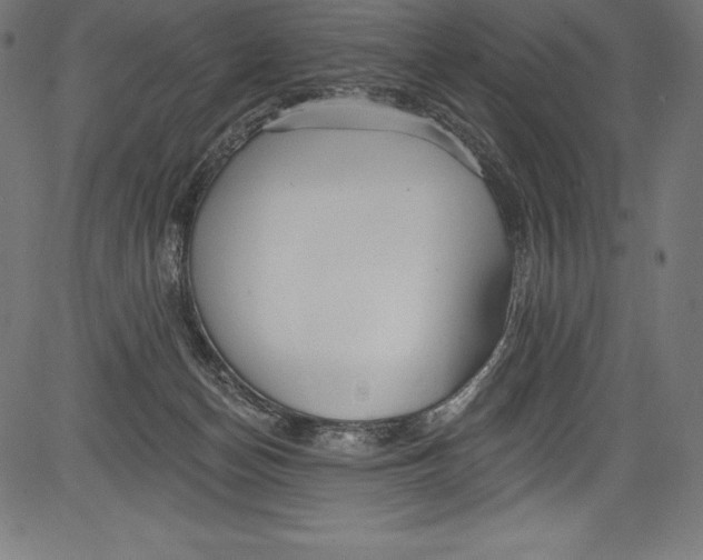 X0000081400174200702020329