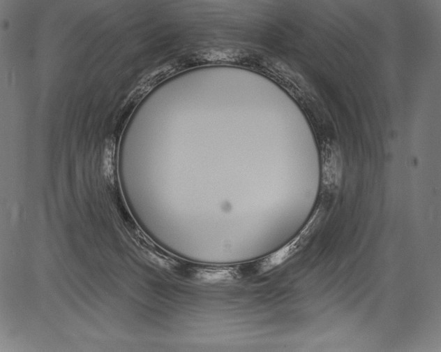 X0000081400175200702020329