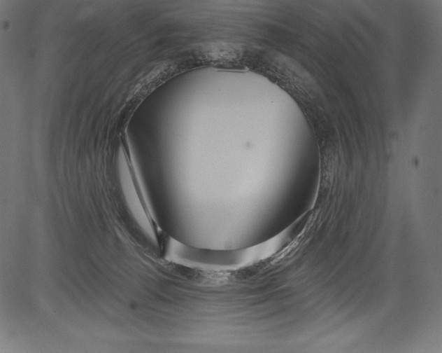 X0000081400176200702020329