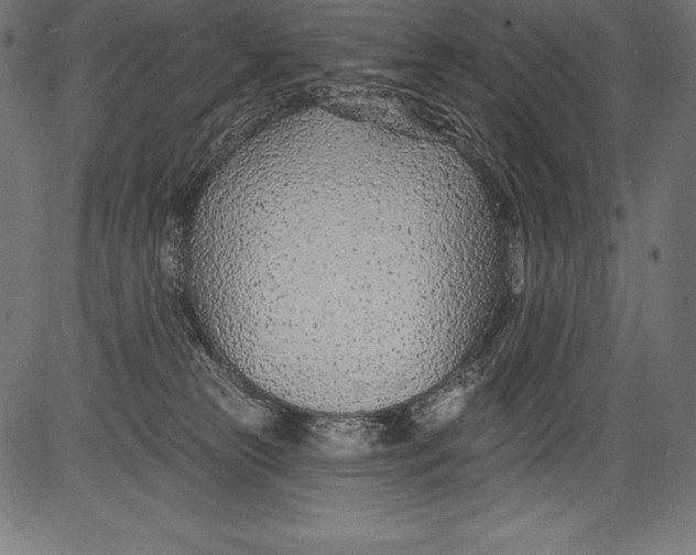 X0000081400181200702020329