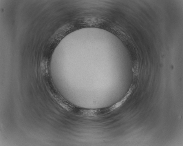 X0000081400182200702020329