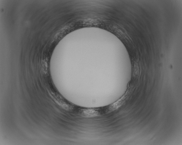 X0000081400183200702020329