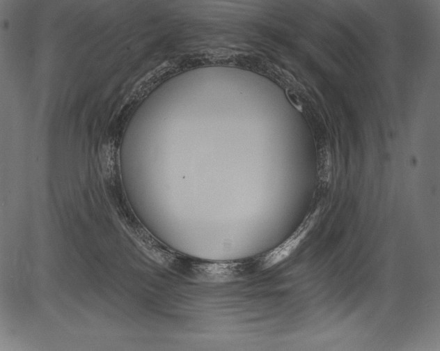 X0000081400184200702020330
