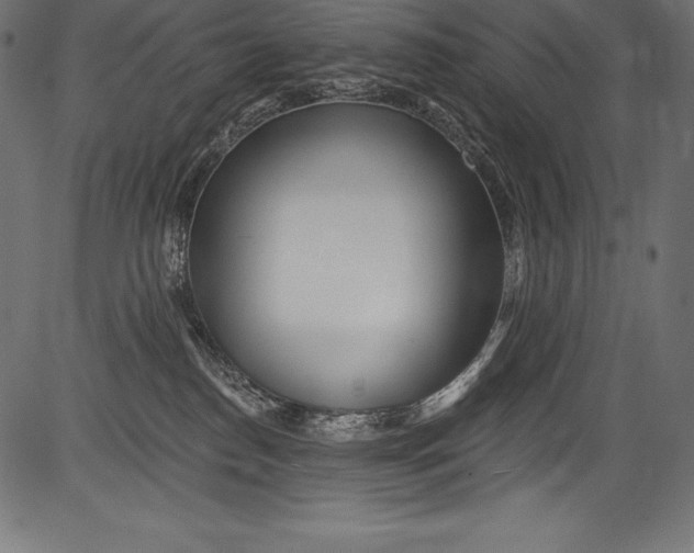 X0000081400186200702020330