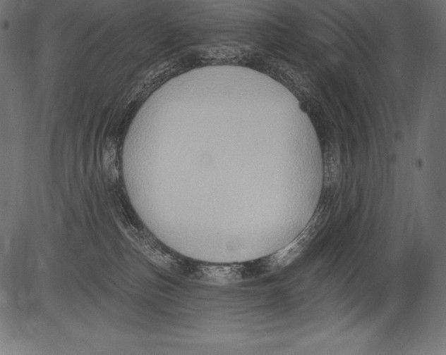 X0000081400187200702020330