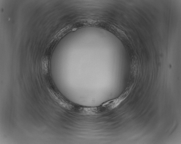 X0000081400188200702020330
