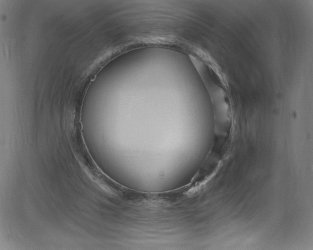 X0000081400201200702020329