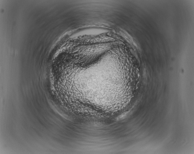 X0000081400203200702020329