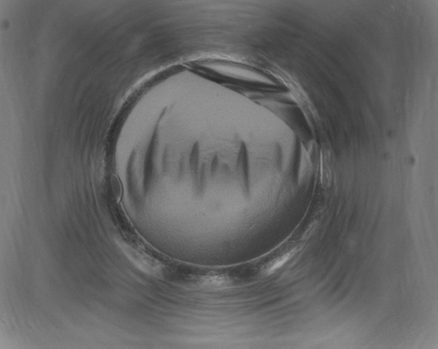 X0000081400204200702020329