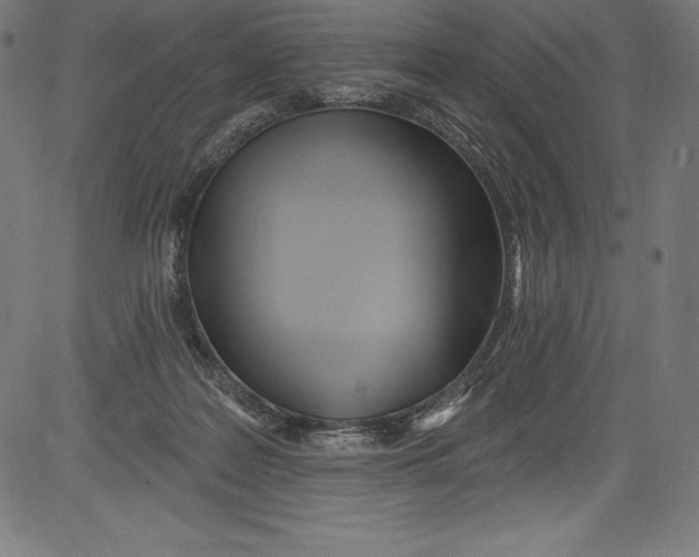 X0000081400219200702020328