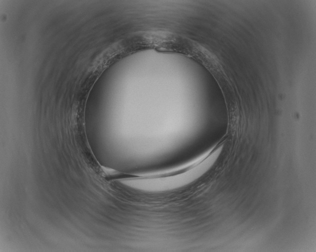 X0000081400221200702020328