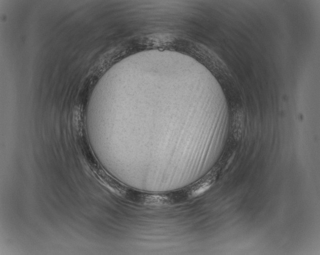 X0000081400222200702020328