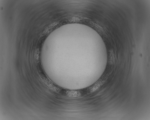 X0000081400230200702020328