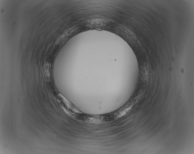 X0000081400232200702020328