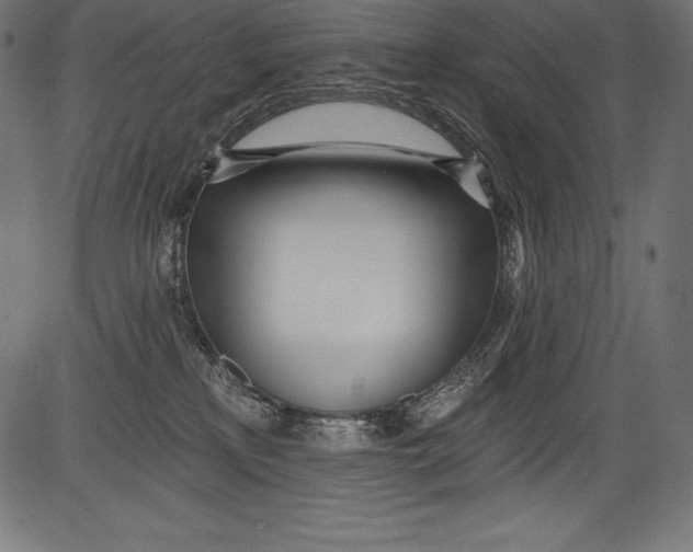X0000081400233200702020328