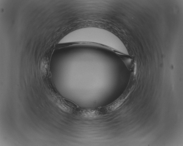 X0000081400235200702020328