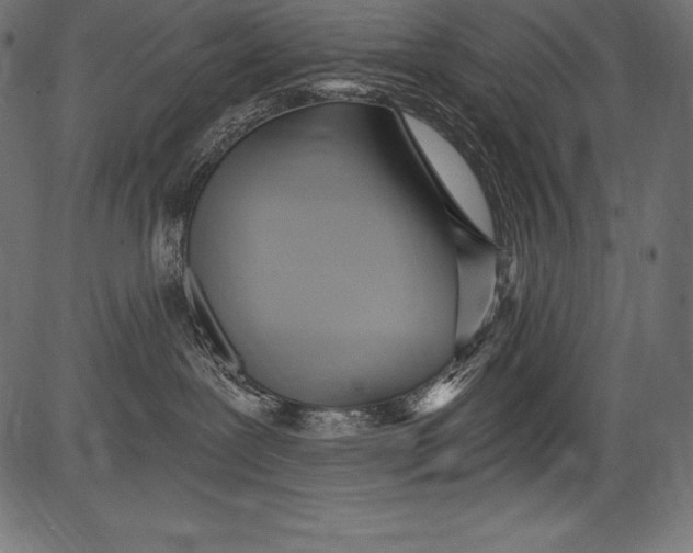 X0000081400239200702020328
