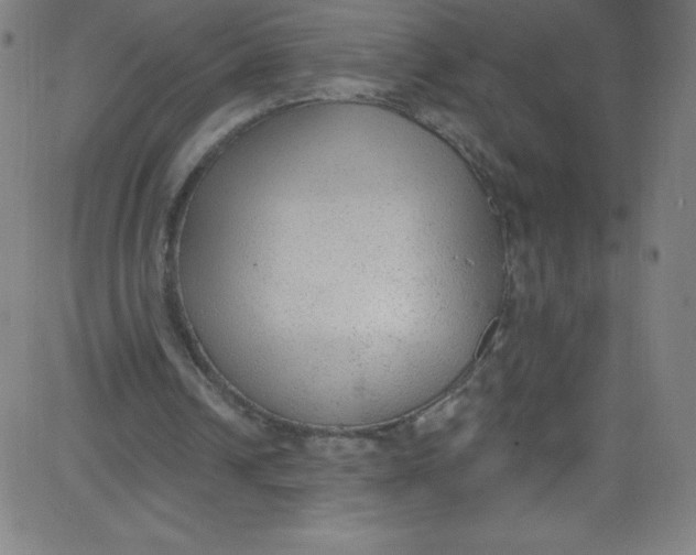 X0000081400242200702020327