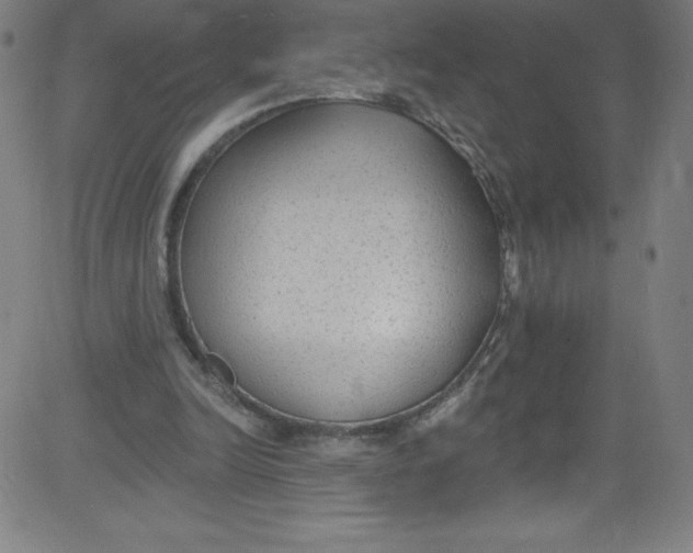 X0000081400246200702020327