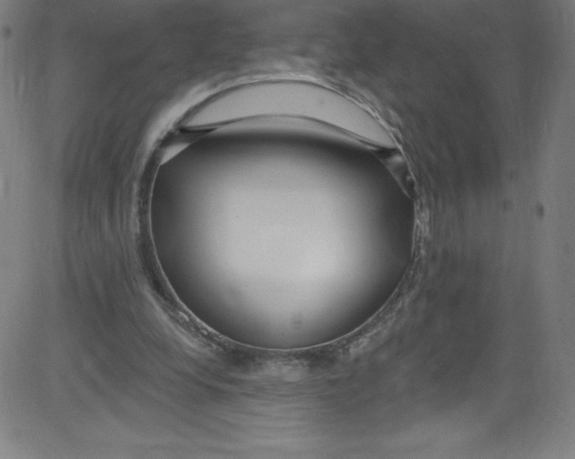 X0000081400248200702020327